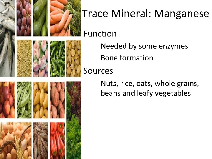 Trace Mineral: Manganese Function – Needed by some enzymes – Bone formation Sources –