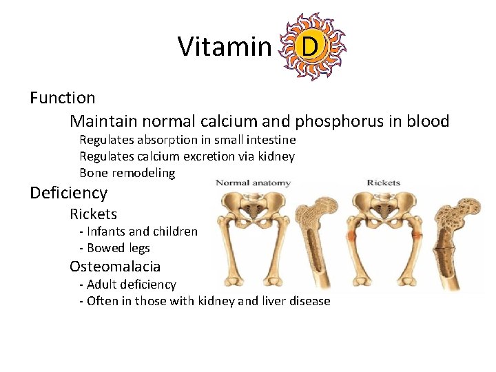 Vitamin D Function – Maintain normal calcium and phosphorus in blood Regulates absorption in