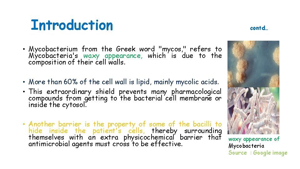 Introduction contd… • Mycobacterium from the Greek word "mycos, " refers to Mycobacteria's waxy