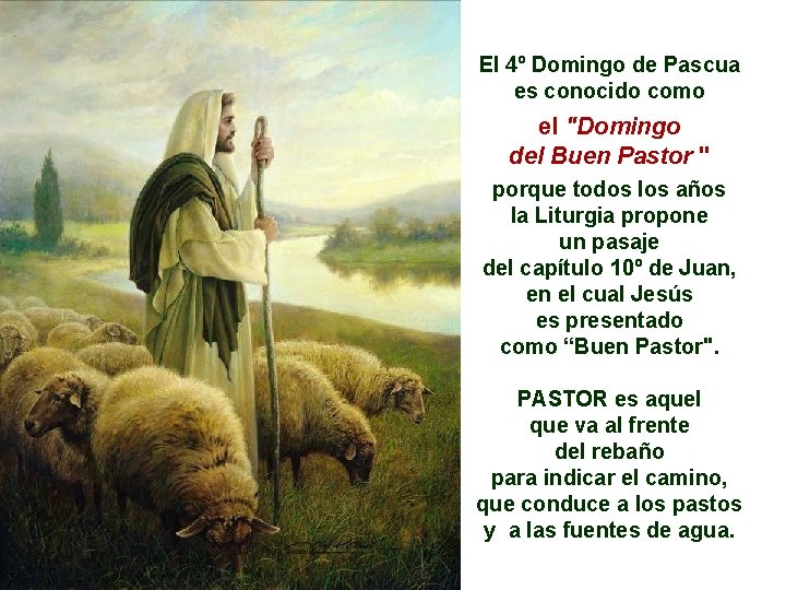 El 4º Domingo de Pascua es conocido como el "Domingo del Buen Pastor "