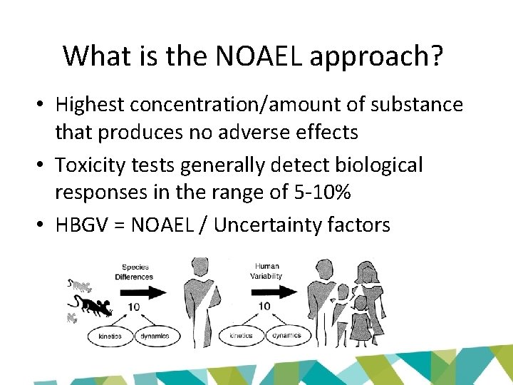 What is the NOAEL approach? • Highest concentration/amount of substance that produces no adverse