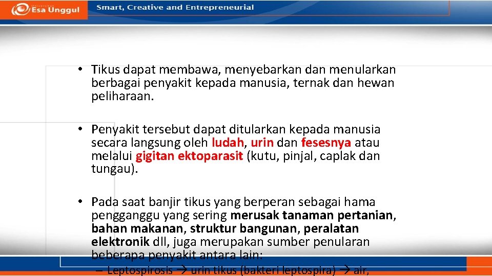 • Tikus dapat membawa, menyebarkan dan menularkan berbagai penyakit kepada manusia, ternak dan • Tikus dapat membawa, menyebarkan dan menularkan berbagai penyakit kepada manusia, ternak dan