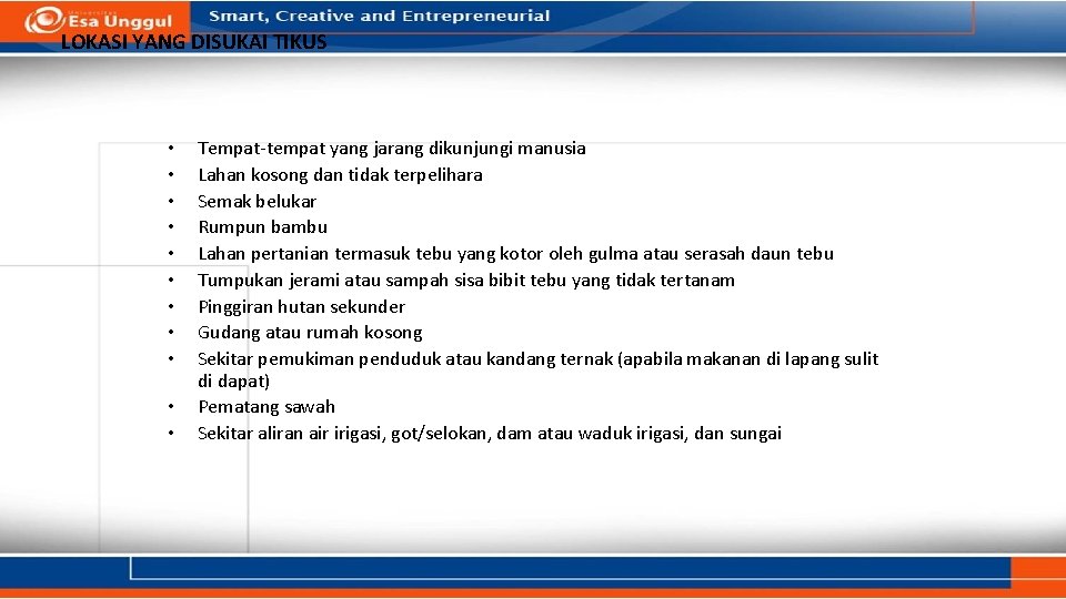 LOKASI YANG DISUKAI TIKUS • • • Tempat-tempat yang jarang dikunjungi manusia Lahan kosong LOKASI YANG DISUKAI TIKUS • • • Tempat-tempat yang jarang dikunjungi manusia Lahan kosong