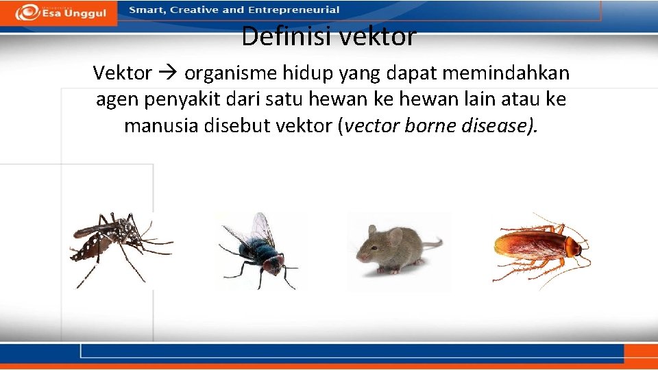 Definisi vektor Vektor organisme hidup yang dapat memindahkan agen penyakit dari satu hewan ke Definisi vektor Vektor organisme hidup yang dapat memindahkan agen penyakit dari satu hewan ke