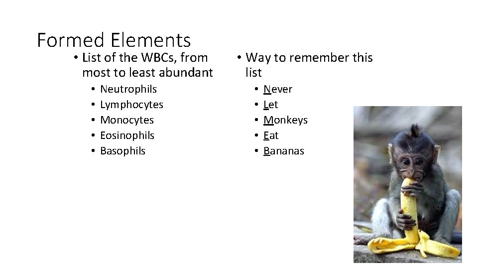 Formed Elements • List of the WBCs, from most to least abundant • •