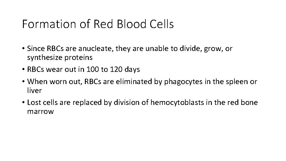 Formation of Red Blood Cells • Since RBCs are anucleate, they are unable to