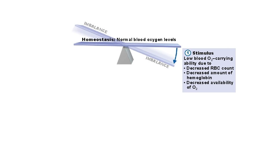 IM BA LA NC E Homeostasis: Normal blood oxygen levels IM BA LA NC