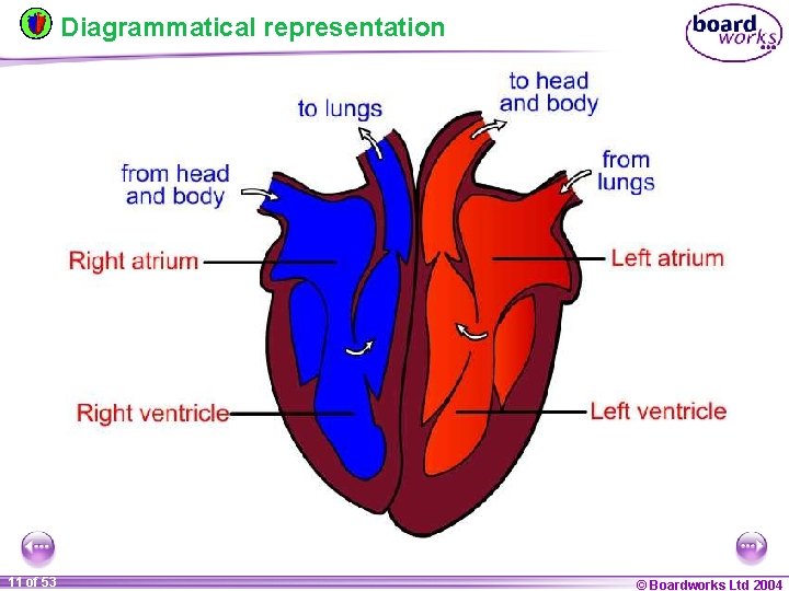 Diagrammatical representation 11 of 53 © Boardworks Ltd 2004 