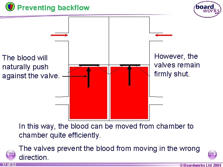 Preventing backflow The blood will naturally push against the valve. However, the valves remain