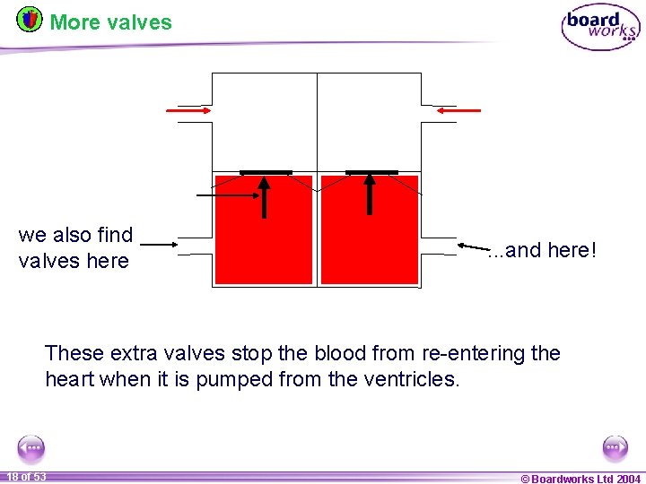 More valves we also find valves here . . . and here! These extra