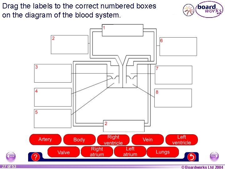 Drag the labels to the correct numbered boxes on the diagram of the blood