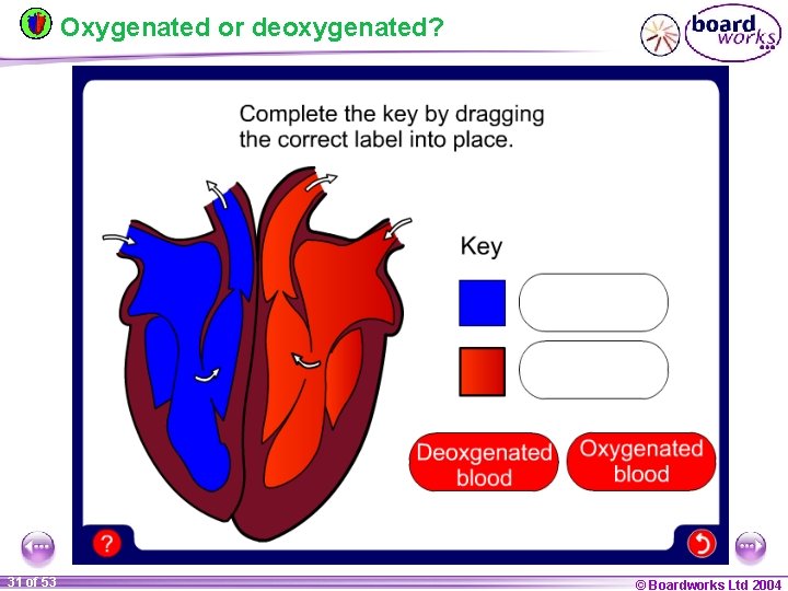 Oxygenated or deoxygenated? 31 of 53 © Boardworks Ltd 2004 