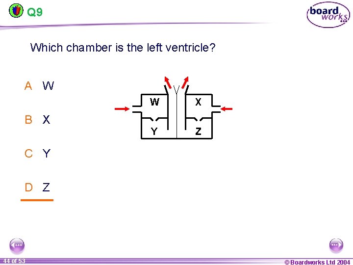 Q 9 Which chamber is the left ventricle? A W W X Y Z