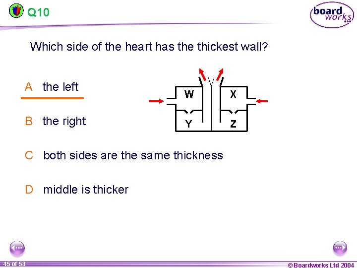 Q 10 Which side of the heart has the thickest wall? A the left
