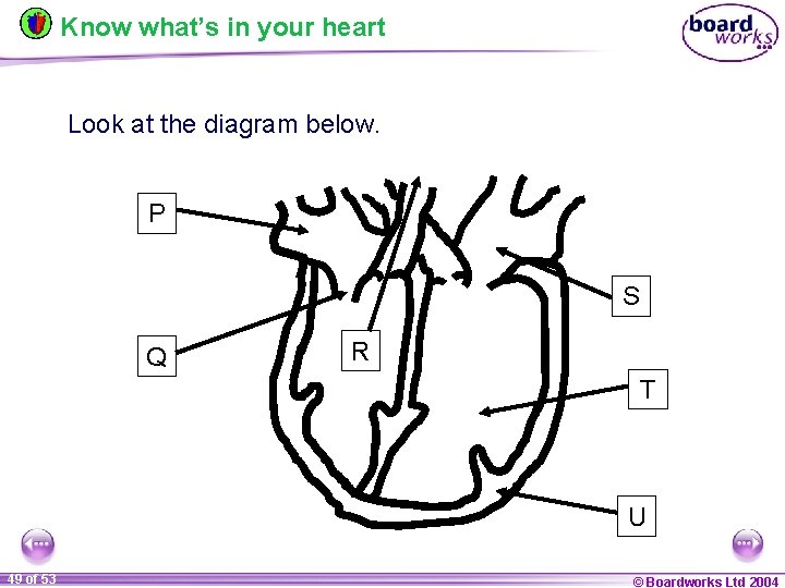 Know what’s in your heart Look at the diagram below. P S Q R