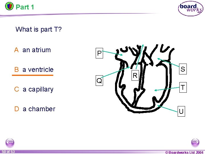 Part 1 What is part T? A an atrium P B a ventricle Q