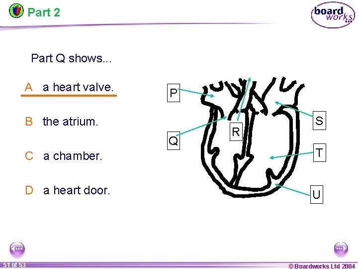 Part 2 Part Q shows. . . A a heart valve. P B the