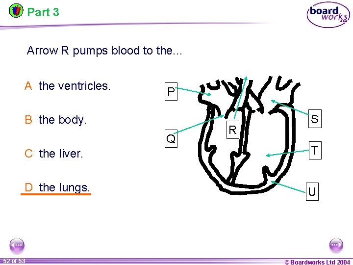 Part 3 Arrow R pumps blood to the. . . A the ventricles. P