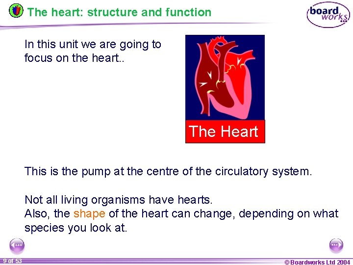 The heart: structure and function In this unit we are going to focus on