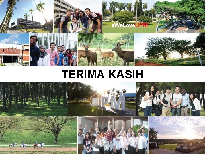 TERIMA KASIH 