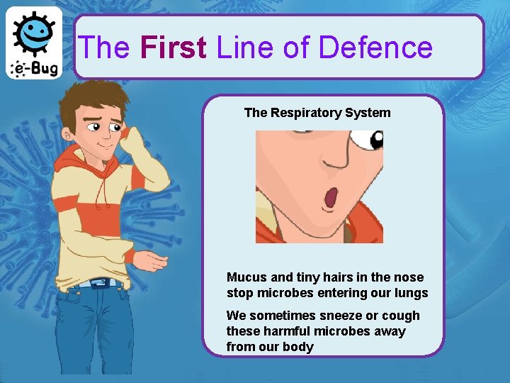 The First Line of Defence The Respiratory System Mucus and tiny hairs in the