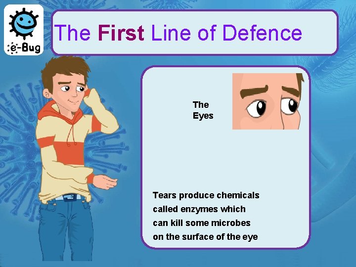 The First Line of Defence The Eyes Tears produce chemicals called enzymes which can