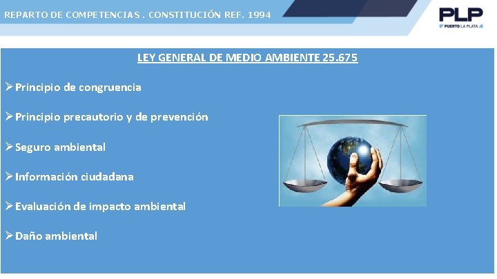 REPARTO DE COMPETENCIAS. CONSTITUCIÓN REF. 1994 LEY GENERAL DE MEDIO AMBIENTE 25. 675 ØPrincipio