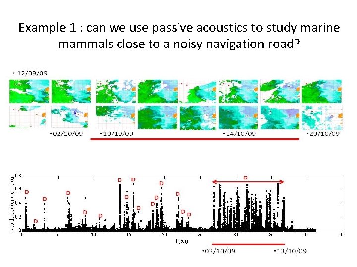 Example 1 : can we use passive acoustics to study marine mammals close to