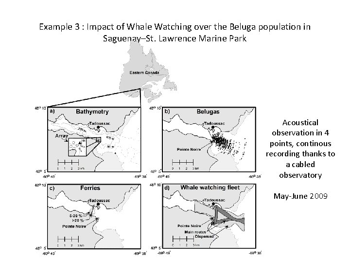 Example 3 : Impact of Whale Watching over the Beluga population in Saguenay–St. Lawrence
