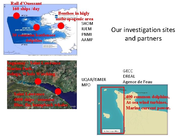 Rail d’Ouessant 160 ships /day Benthos in higly anthropogenic area SHOM IUEM PNMI 30