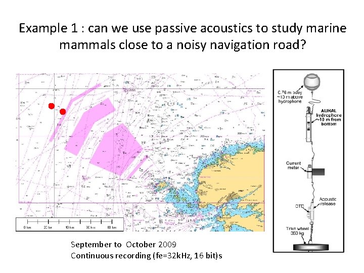 Example 1 : can we use passive acoustics to study marine mammals close to