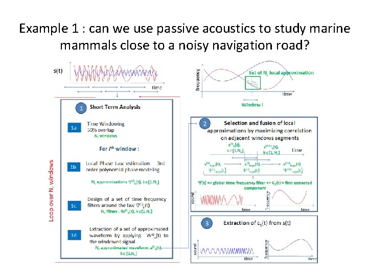 Example 1 : can we use passive acoustics to study marine mammals close to