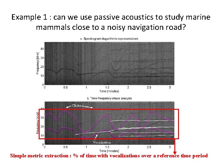 Example 1 : can we use passive acoustics to study marine mammals close to