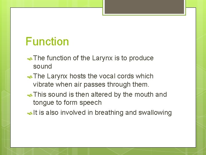 Function The function of the Larynx is to produce sound The Larynx hosts the