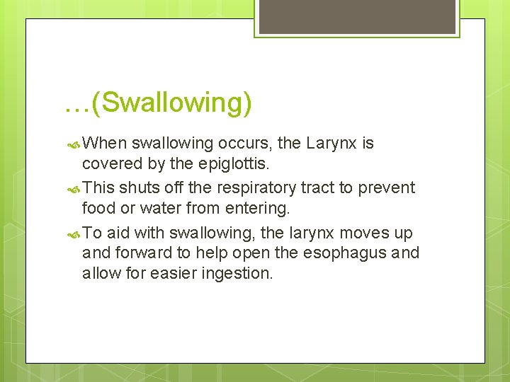 …(Swallowing) When swallowing occurs, the Larynx is covered by the epiglottis. This shuts off