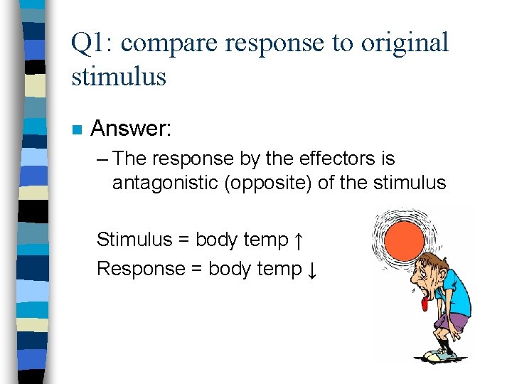 Q 1: compare response to original stimulus n Answer: – The response by the