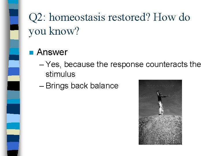 Q 2: homeostasis restored? How do you know? n Answer – Yes, because the