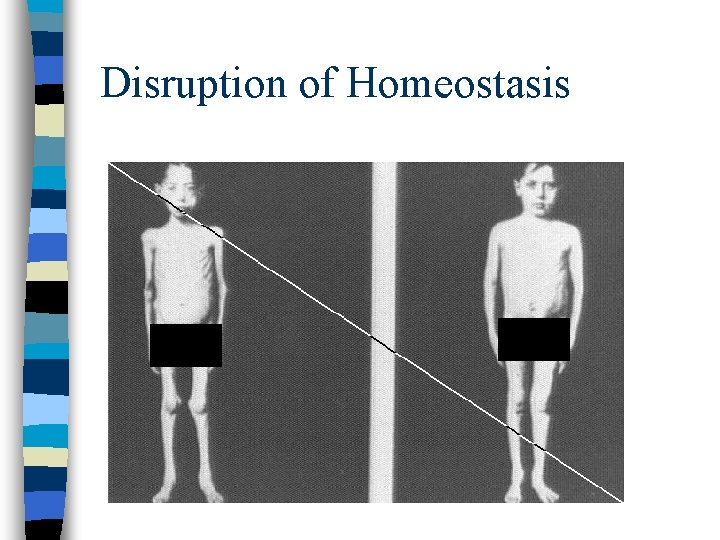Disruption of Homeostasis 