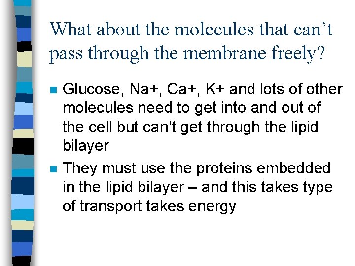 What about the molecules that can’t pass through the membrane freely? n n Glucose,