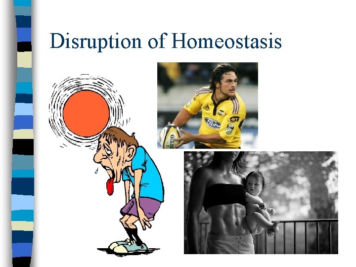 Disruption of Homeostasis 