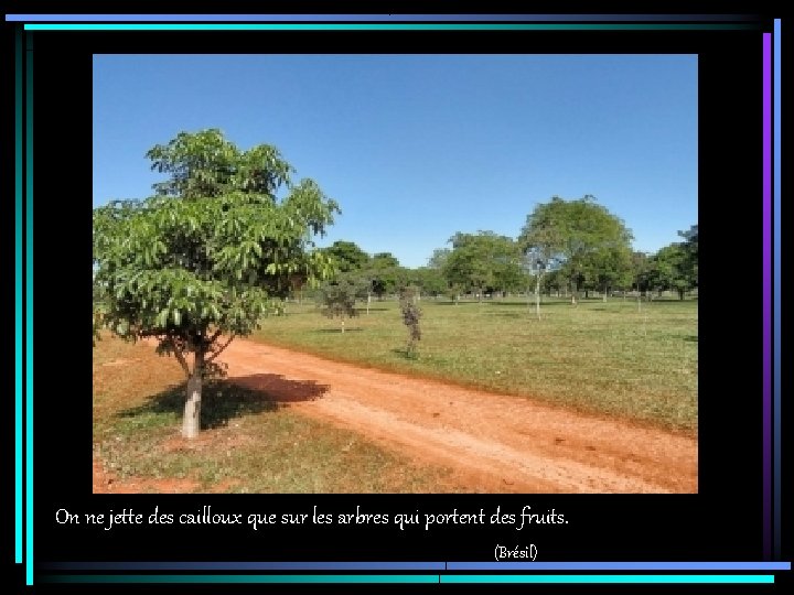 On ne jette des cailloux que sur les arbres qui portent des fruits. (Brésil)