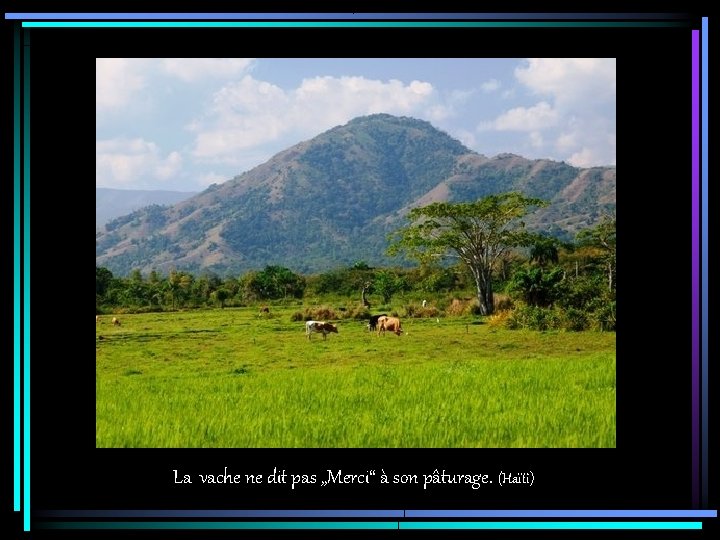 La vache ne dit pas „Merci“ à son pâturage. (Haïti) 