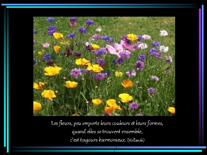 Les fleurs, peu importe leurs couleurs et leurs formes, quand elles se trouvent ensemble,