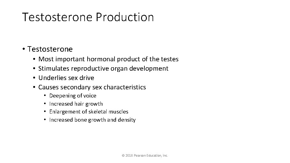 Testosterone Production • Testosterone • • Most important hormonal product of the testes Stimulates