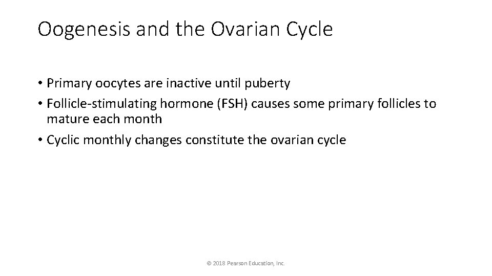 Oogenesis and the Ovarian Cycle • Primary oocytes are inactive until puberty • Follicle-stimulating