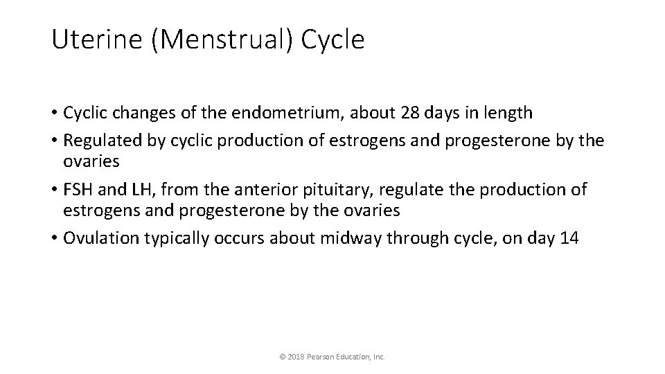 Uterine (Menstrual) Cycle • Cyclic changes of the endometrium, about 28 days in length