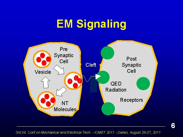 EM Signaling Pre Synaptic Cell Vesicle Cleft Post Synaptic Cell QED Radiation NT Molecules
