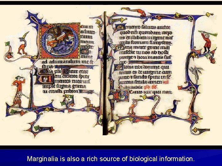 Marginalia is also a rich source of biological information. 