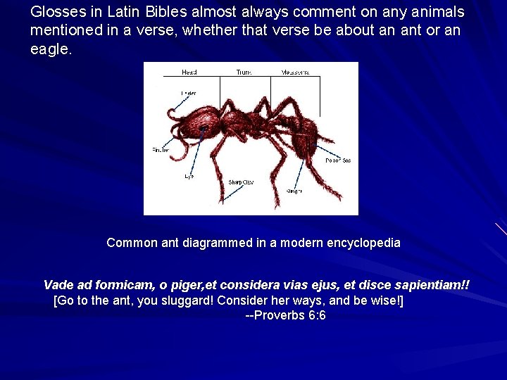 Glosses in Latin Bibles almost always comment on any animals mentioned in a verse,