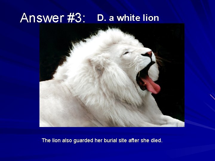Answer #3: D. a white lion The lion also guarded her burial site after